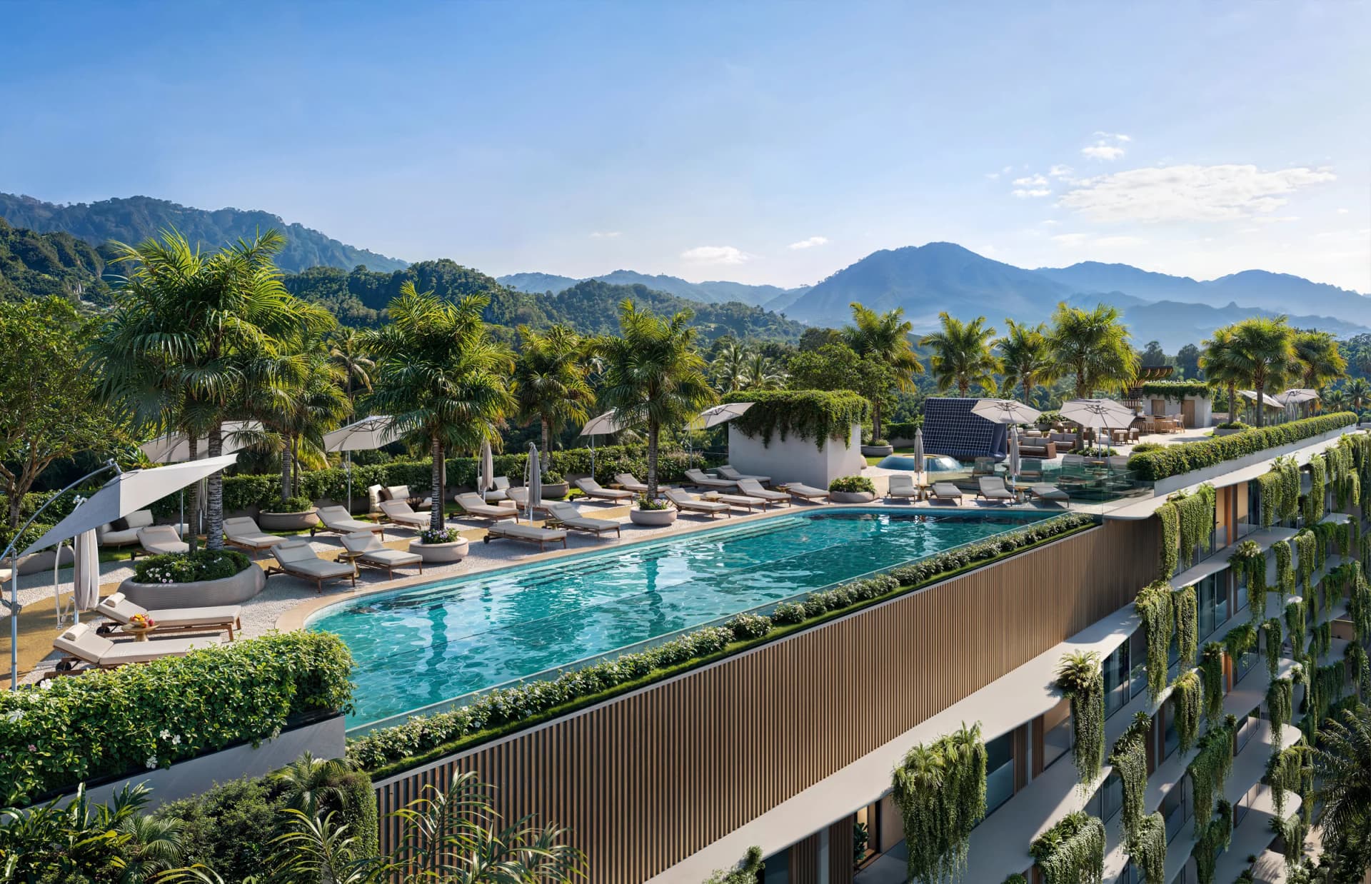 Heated rooftop infinity pool with loungers and palms, the green Layan hills on the horizon